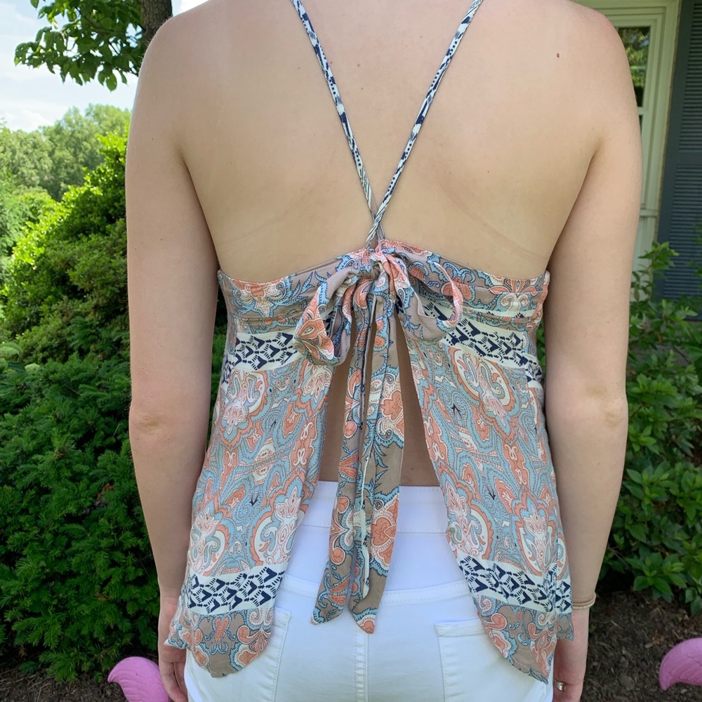 Olivaceous top - Picture 3 of 4